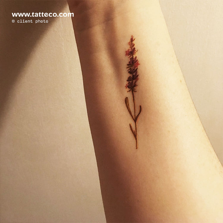 Tatuaje temporal de lavanda en acuarela de Lena Fedchenko (juego de 3)
